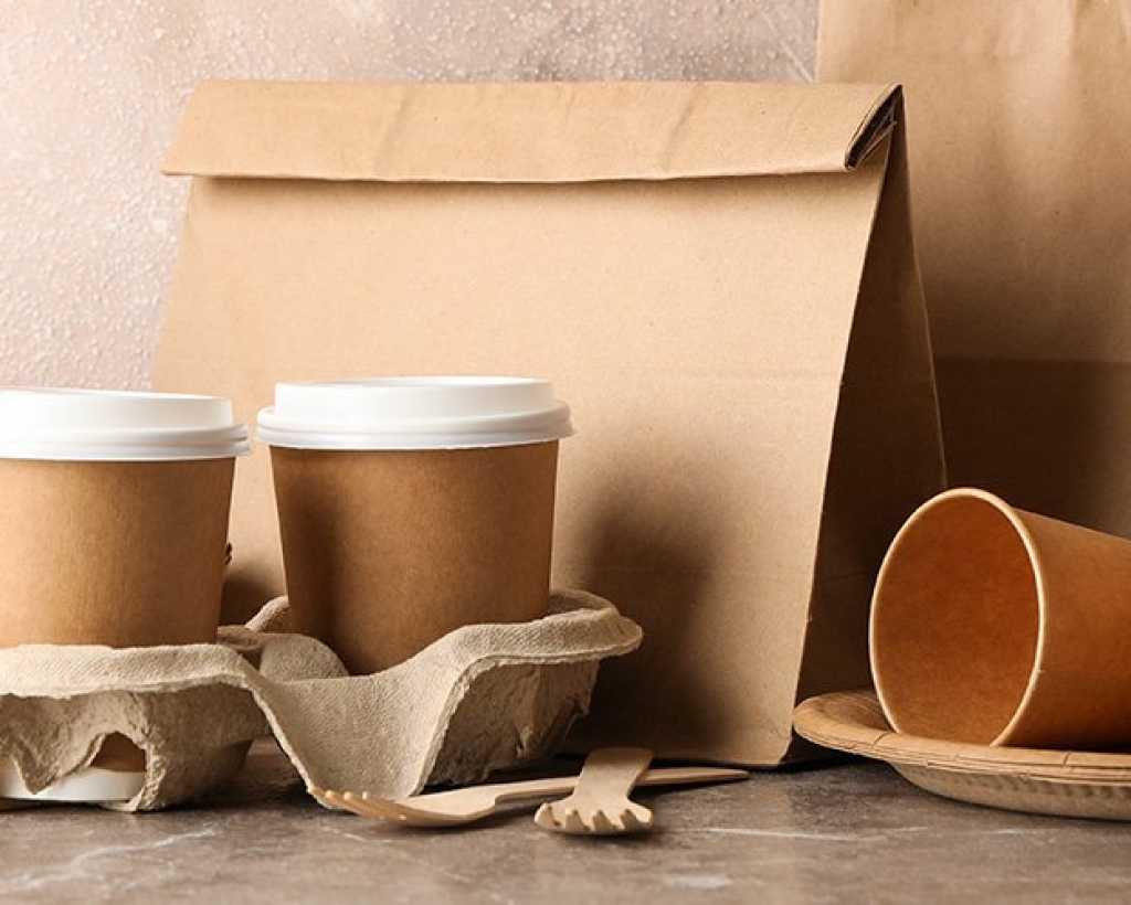 Eco Paper Pulp - Eco-Friendly Disposable Food & Beverage Packaging ...